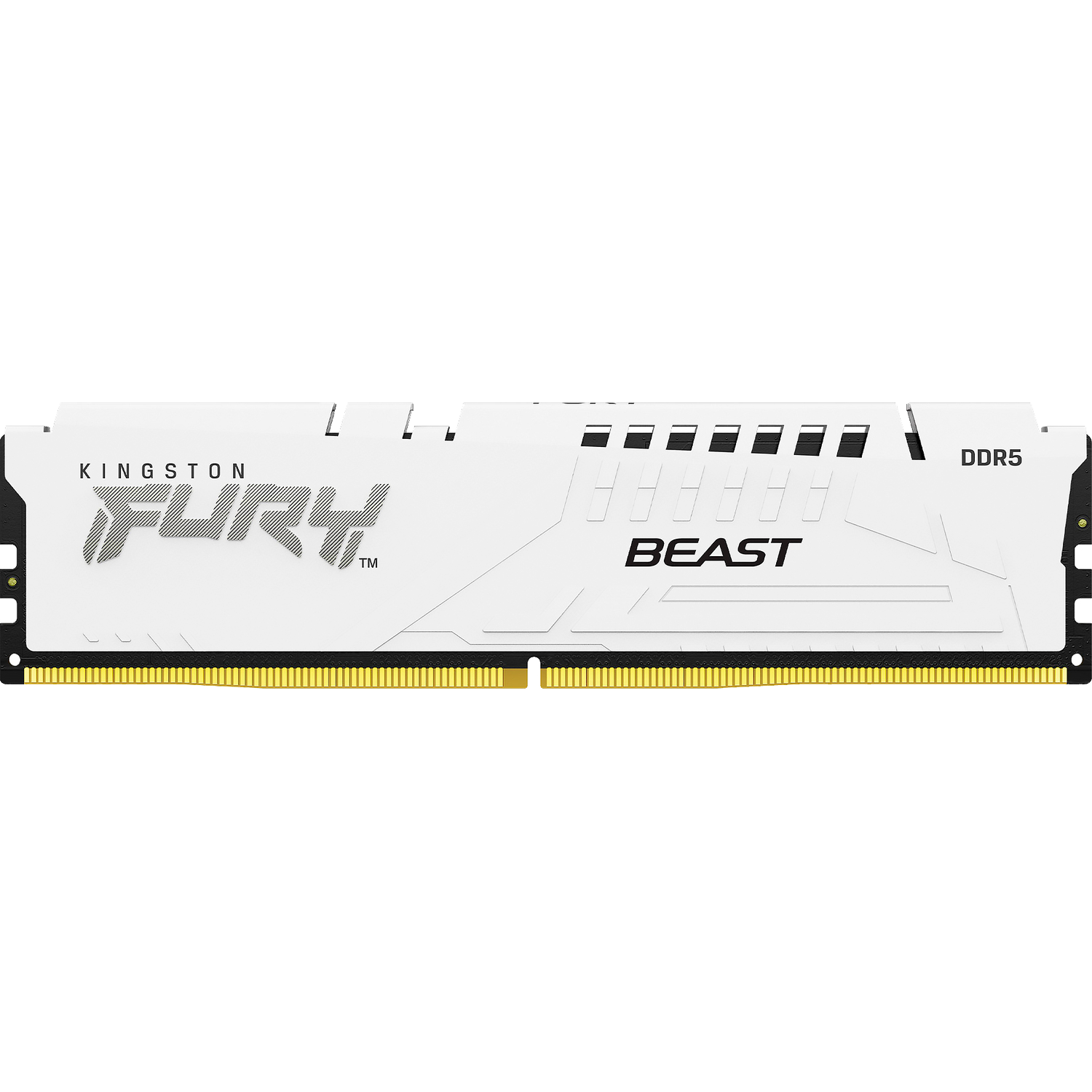 Память оперативная Kingston FURY Beast KF552C40BW-16