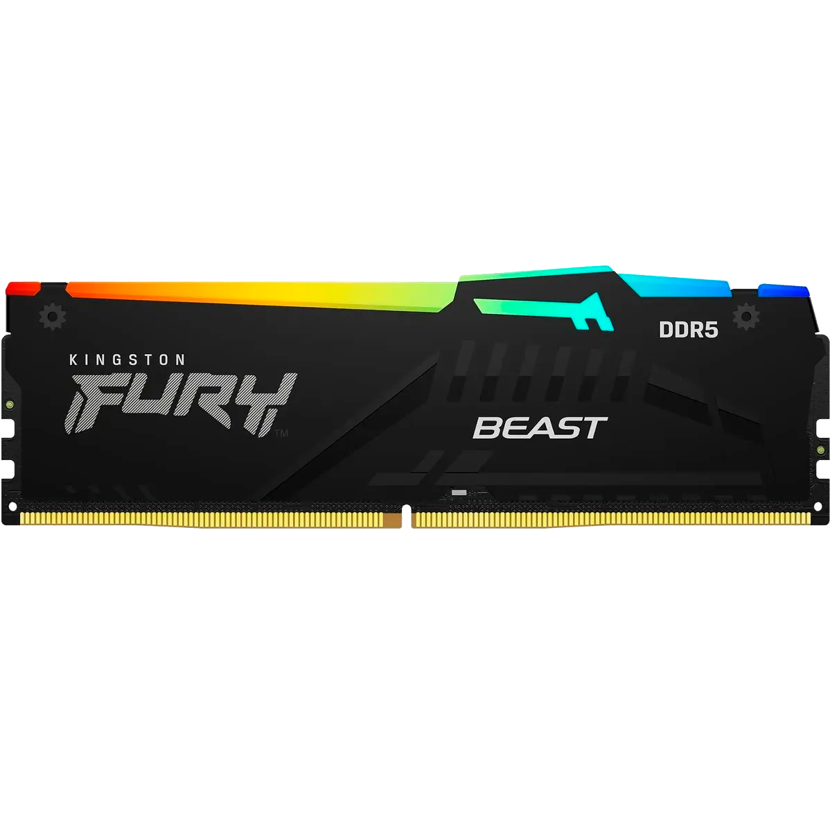 Память оперативная Kingston FURY Beast KF556C36BBEA-32